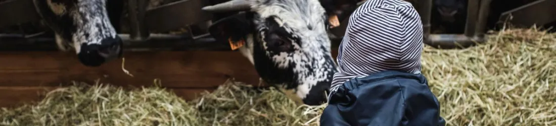 Avec son "salon à la ferme", la Confédération paysanne fait campagne pour les municipales