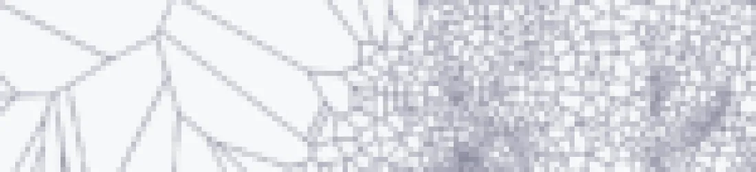 Politiques publiques : passer de l’IA… à la dénumérisation