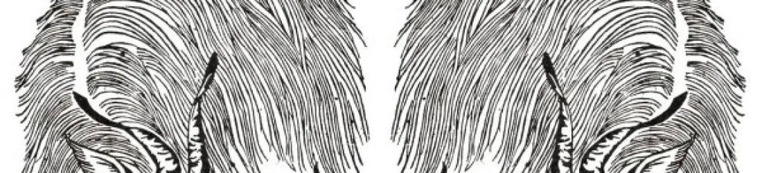 Le salon des éditions livresques et musicales LA CHÈVRE revient les 24, 25 et 26 avril !