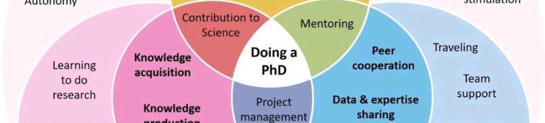 Alaina Talboy, Ph.D. on LinkedIn: Phenomenal way to share how a PhD is so much more than a super narrow