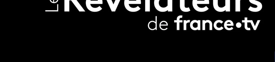 Vérification d'images et de vidéos, enquêtes Osint... En quoi consiste le travail du service des Révélateurs de France Télévisions ?