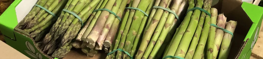 Emplois saisonniers : les asperges d’Alsace ont besoin de bras pour la récolte !