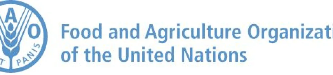 Home | Food and Agriculture Organization of the United Nations