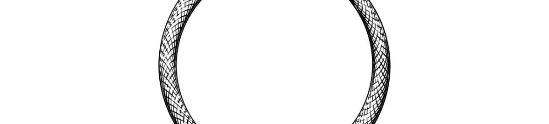 Unraveling the Disability Pride Flag