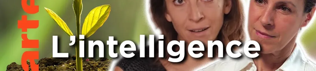 Les plantes sont-elles des animaux comme les autres ? | Les idées larges | ARTE