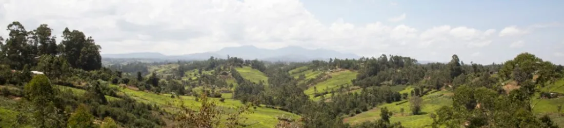 Agroecology Infopool | Biovision - Stiftung für ökologische Entwicklung