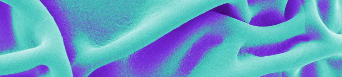 Material Form Function - Matters of Activity