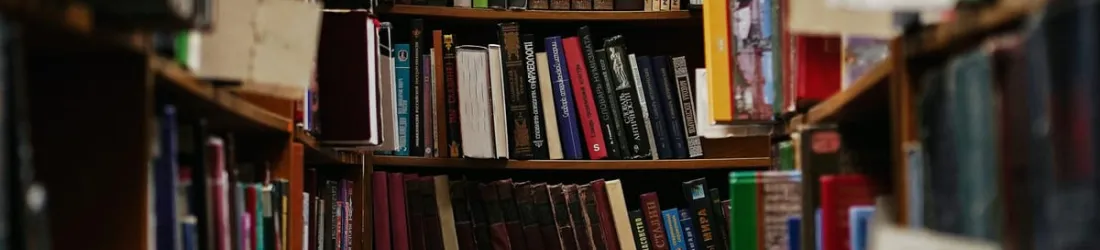 Judge Rules Training AI on Authors' Books Is Legal But Pirating Them Is Not