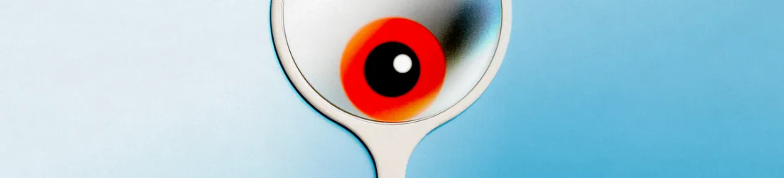 What AI Thinks It Knows About You