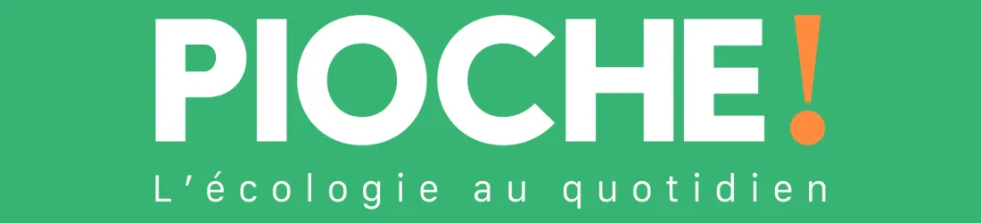 Pioche! Magazine
