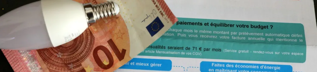 Prix de l'électricité : la Commission de régulation de l'énergie annonce une baisse de 15% en moyenne du tarif réglementé