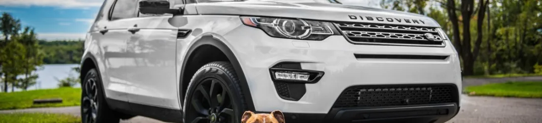 SUV, vols en avion... Il faut supprimer ces publicités, estiment des hauts fonctionnaires