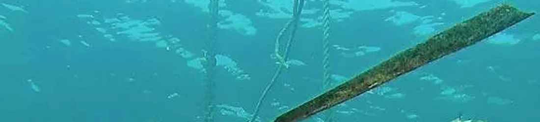 Rando'mer à Collioure