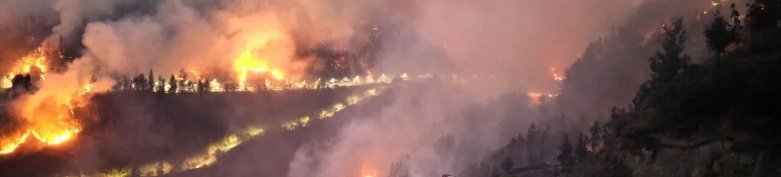 Équateur: Quito sous la fumée de cinq incendies simultanés