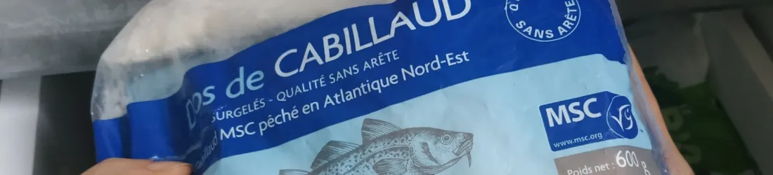 « Pêche durable » : comment le label MSC et la grande distribution ont détourné ce concept
