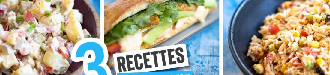 Pique-nique vegan : 3 recettes - La petite Okara