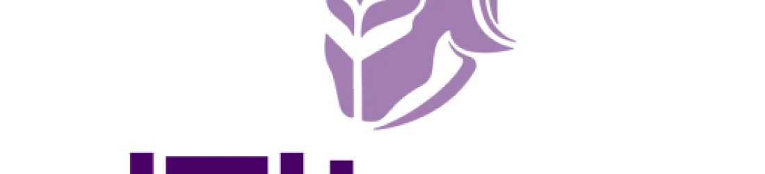 Mobile App, Website Development & Digital Marketing Company | iTitans Digital