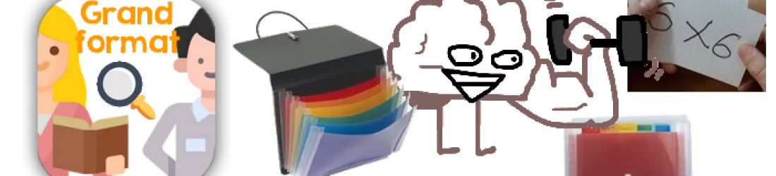 Utiliser les boites de Leitner en classe : « se souvenir de tout, pour toujours »