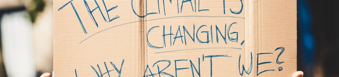 Scientifiques, magistrats, ingénieurs : les nouveaux militants du climat - TheGood