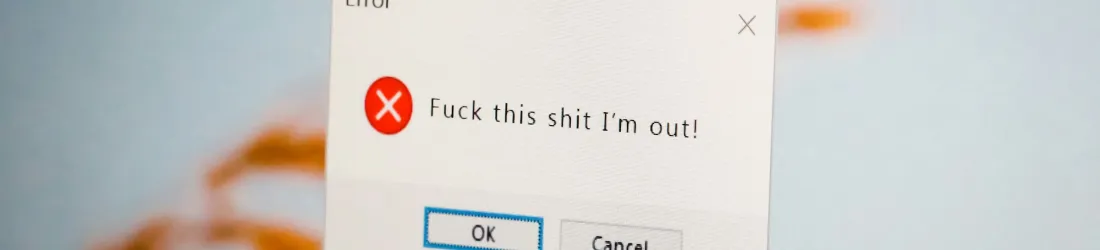 The Software Engineers Paid to Fix Vibe Coded Messes