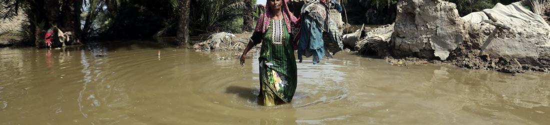 Flooding in Pakistan shows that climate adaptation requires international support and regional co-operation