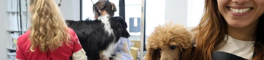 Grâce à Sarah El Akbaa, la « vie de chien » n’est plus ce qu’elle était…