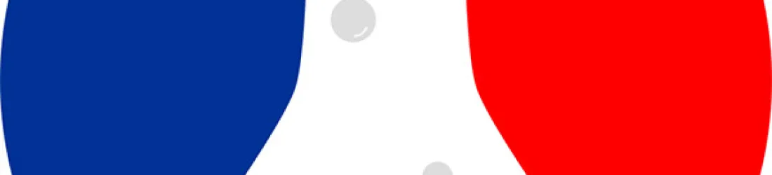 Incubateur de services publics numériques