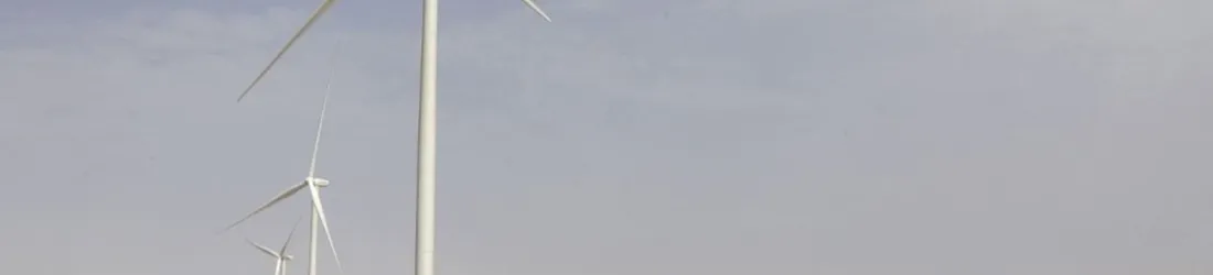 Sahara occidental : le Conseil de sécurité de l'ONU soutient le plan d'autonomie marocain