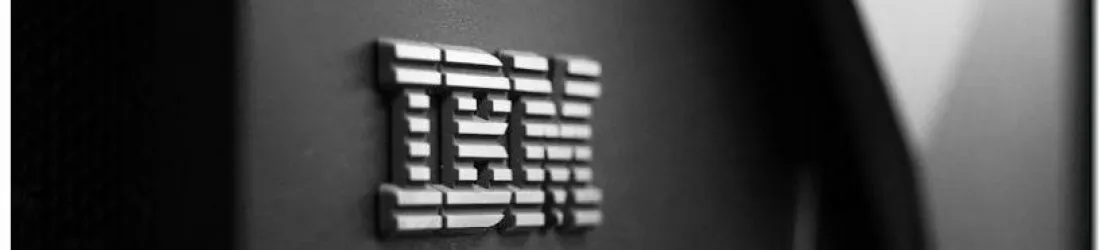 What are IBM's plans for 2024 ?