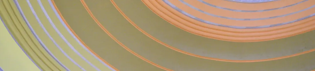 The Commons Strategies Group