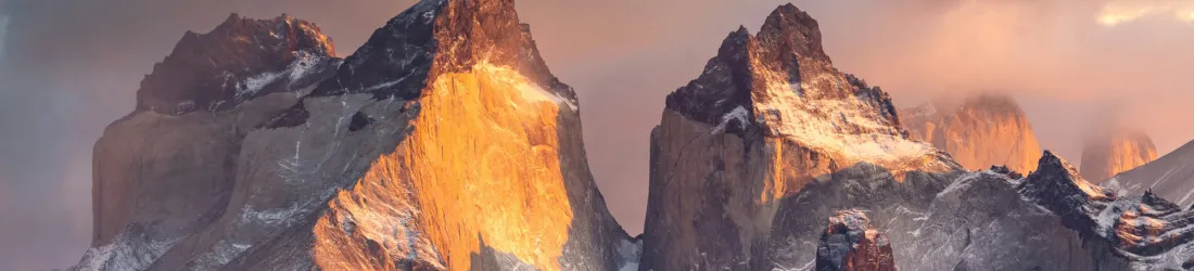 Full Site Editing : Présentation du theme.json • Formation WordPress