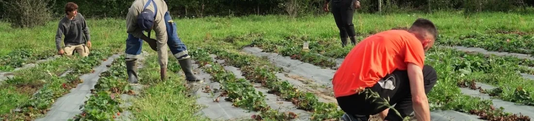 «Ici, les gens nous font confiance» : en Loire-Atlantique, ces détenus purgent la fin de leur peine dans une ferme biologique