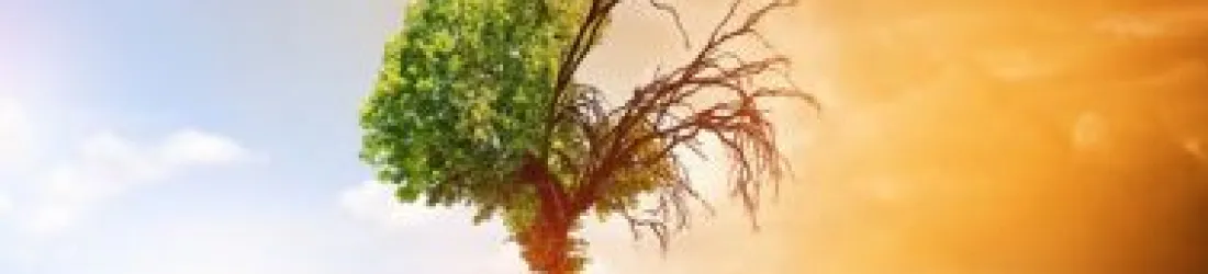 ACCUEIL - Allocation Climat