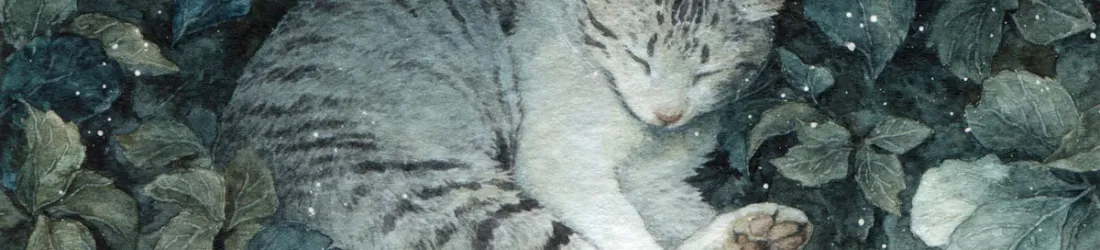 Anaïs Faë | Illustration