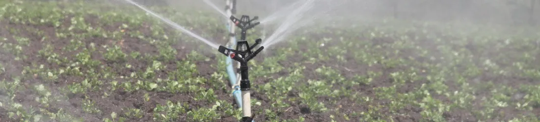 132 litres d'eau pour une tasse de café : « Nos besoins sont excessifs »