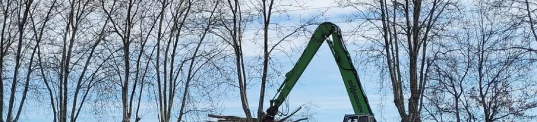 A69 : Les premiers arbres du chantier de l'autoroute Toulouse-Castres abattus